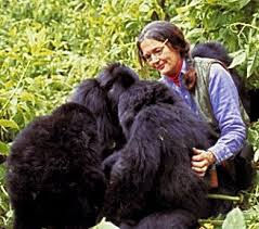 Dian Fossey